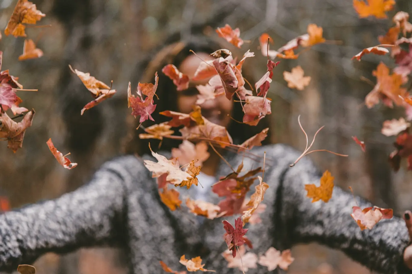 https://unsplash.com/photos/woman-throwing-maple-leaves-uE_N2i6-TRM