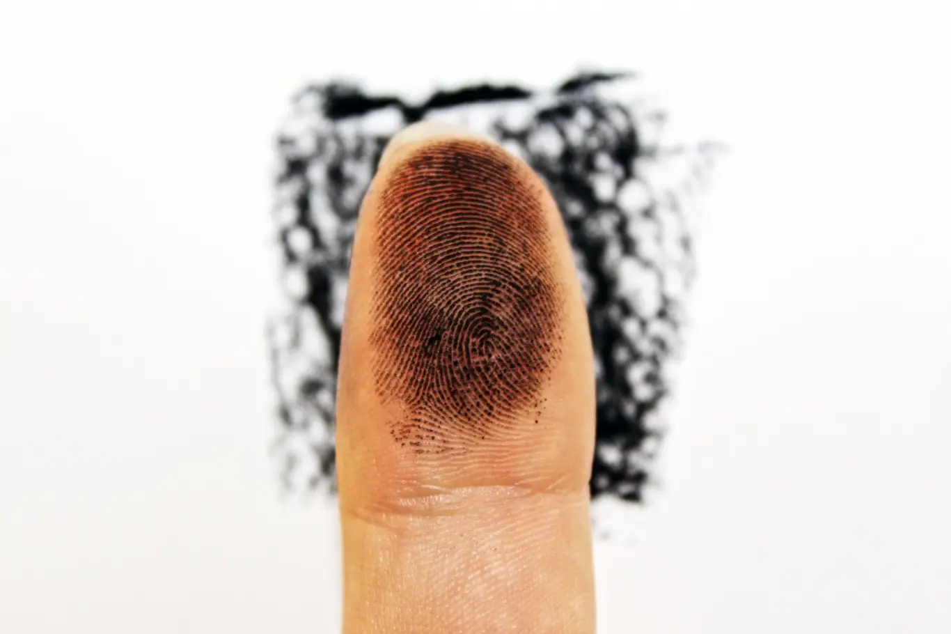 Your Unique Fingerprint on the World