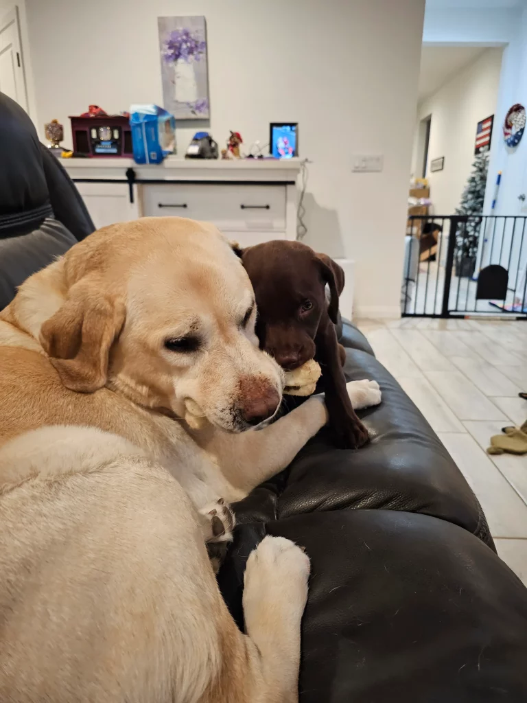 Trooper “sharing” a bone with Mac