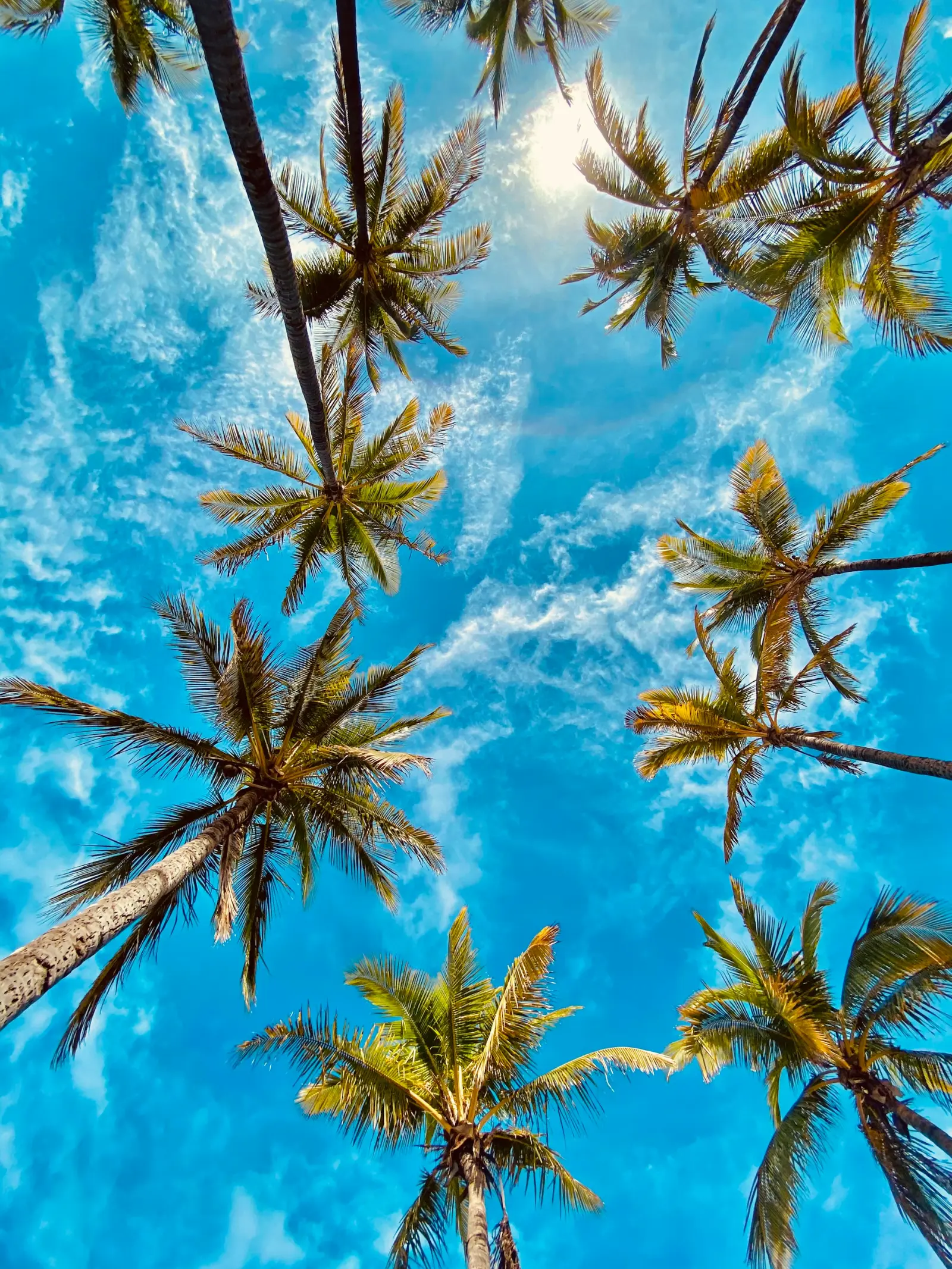 Embracing Summer Wellness: My Two Favorite Things