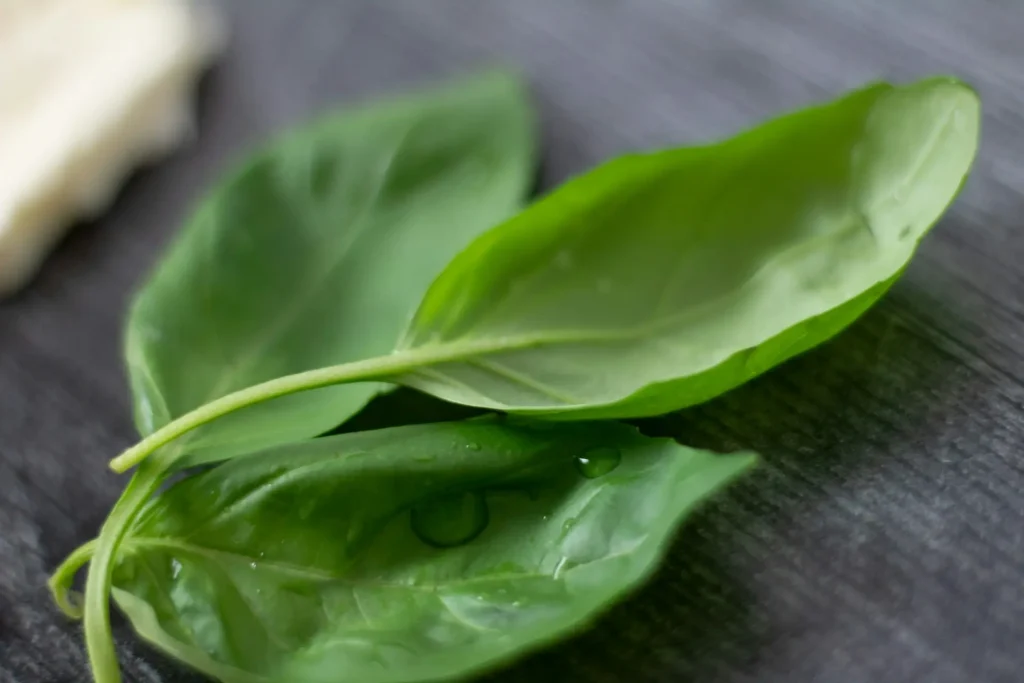 Optimize Your Health This Fall: Immunity, Fitness & Sleep