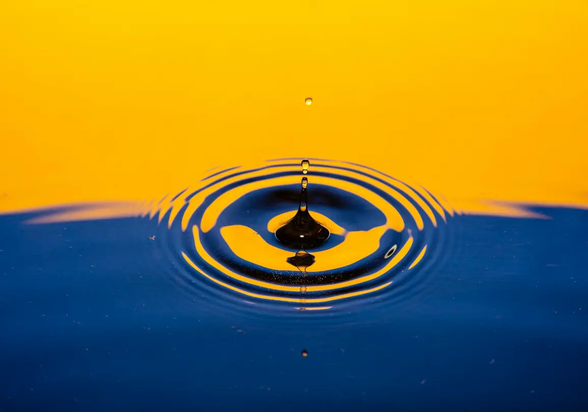 The Ripple Effect of Appreciation