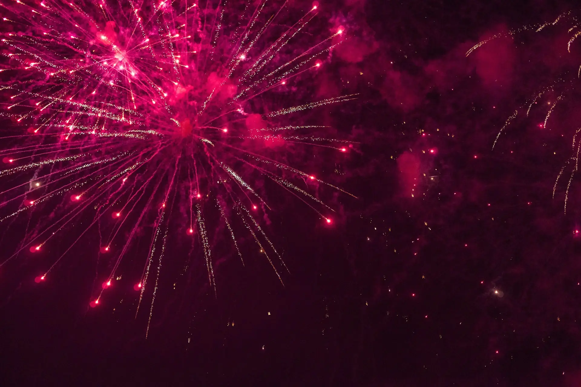What Will the New Year Bring?