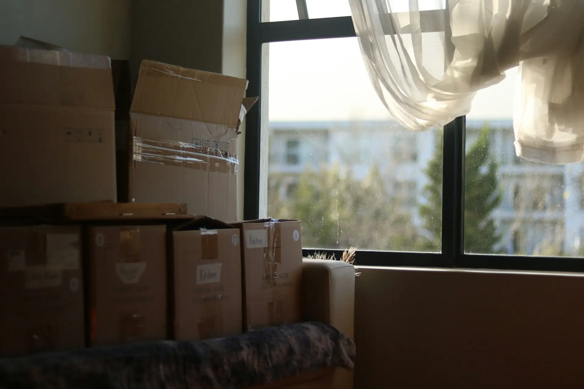 Looking Back, Moving Forward